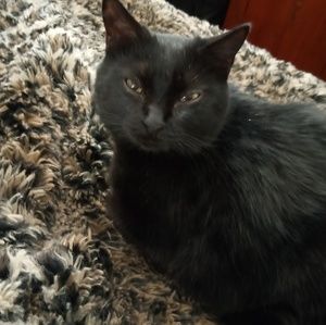 Meet your Posher, Maryann